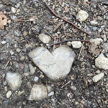 Appartement Gemuetliche Mit Terrasse Und Panoramabalkon- Stofbauer Tresdorf (Spittal an der Drau)