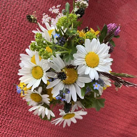 Gemuetliche Mit Terrasse Und Panoramabalkon- Stofbauer * Tresdorf (Spittal an der Drau)