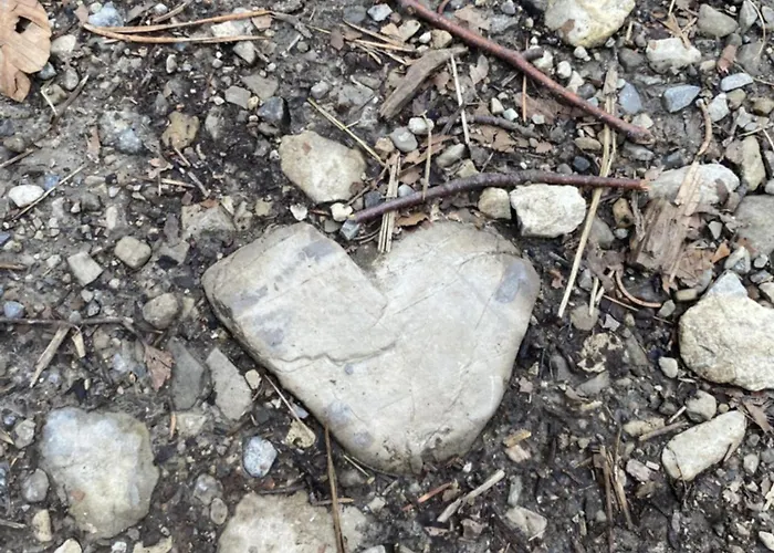 Apartament Gemuetliche Mit Terrasse Und Panoramabalkon- Stofbauer Tresdorf (Spittal an der Drau)