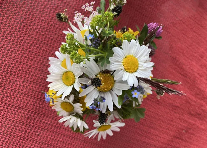 Gemuetliche Mit Terrasse Und Panoramabalkon- Stofbauer * Tresdorf (Spittal an der Drau)